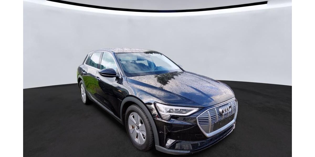 Audi e-tron 55.000 km 27.870 &euro; Helmstedt 38350