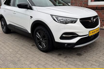 Opel Grandland (X) 52.500 km 17.480 € Dägeling 25578