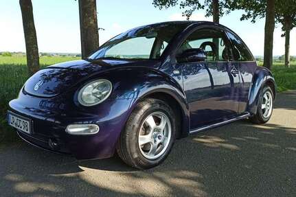 VW New Beetle