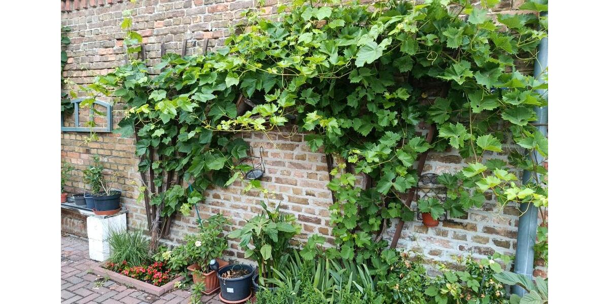 Einfamilienhaus Schönwald - 5 Zimmer, 150 m&sup2;, 250.000&euro; | Angebot:26963394