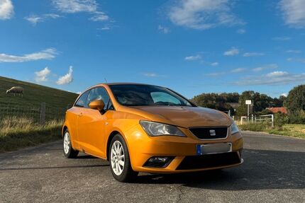Seat Ibiza 160.000 km 5.200 &euro; Kollmar 25377