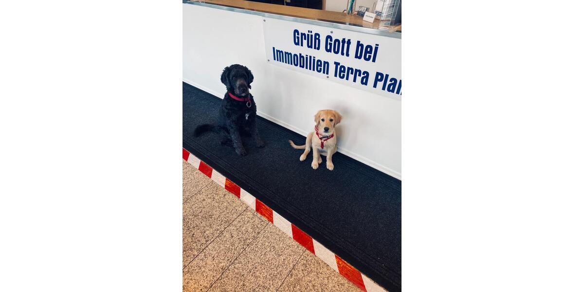 Etagenwohnung Vilshofen - 2 Zimmer, 58 m&sup2;, 150.000&euro; | Angebot:25745713