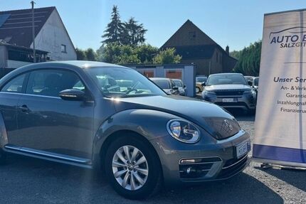 VW Beetle