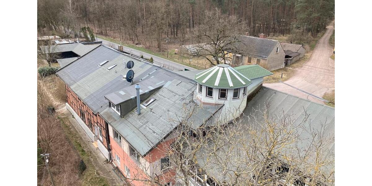 Einfamilienhaus Coswig (Anhalt) - 20 Zimmer, 1.800 m&sup2;, 650.000&euro; | Angebot:26888679