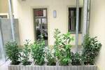 Etagenwohnung Bischofswerda Belmsdorf - 2 Zimmer, 55 m&sup2;, 414&euro; | Angebot:25958897