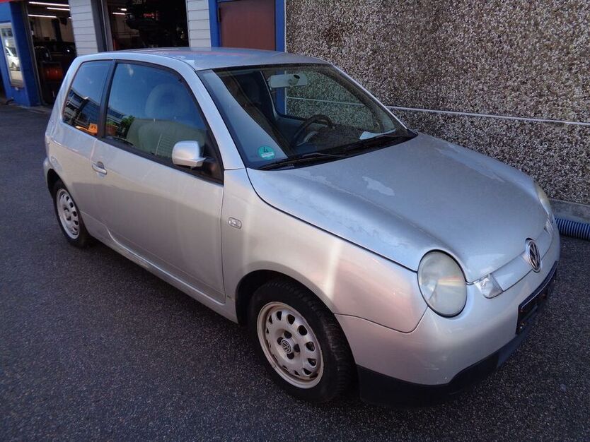 Lupo