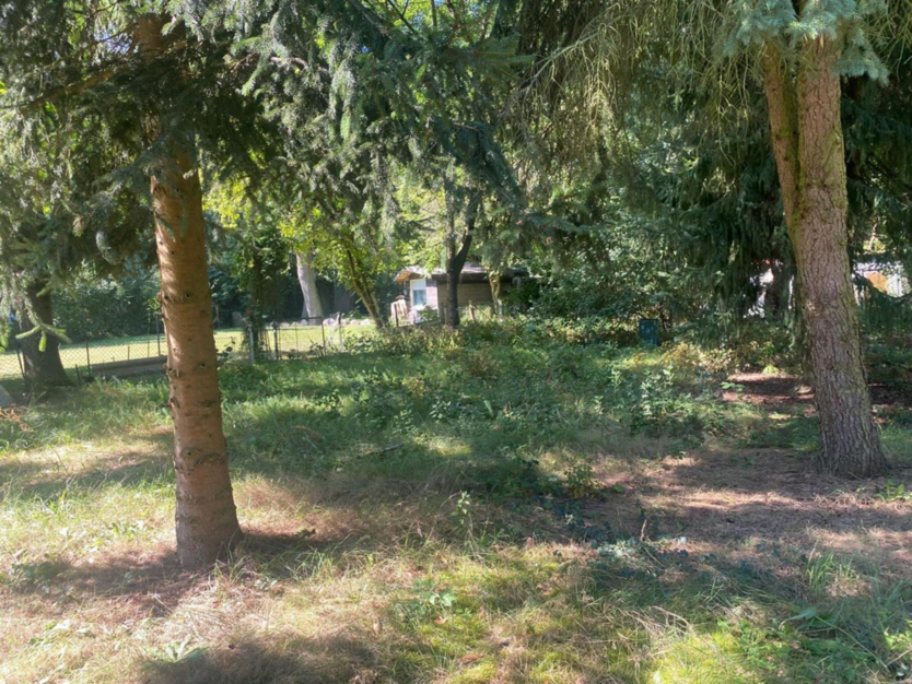 Grundstück zu verkaufen in Rangsdorf 457.000 € 1300 m²