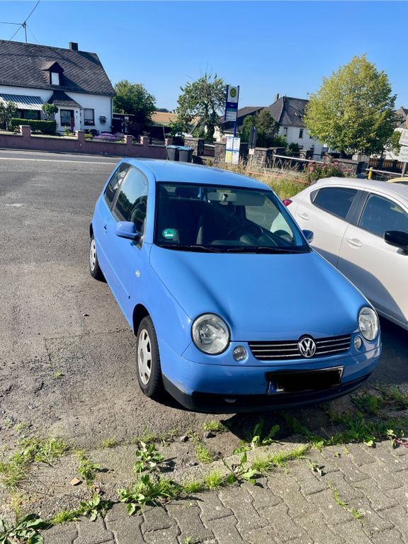 Lupo