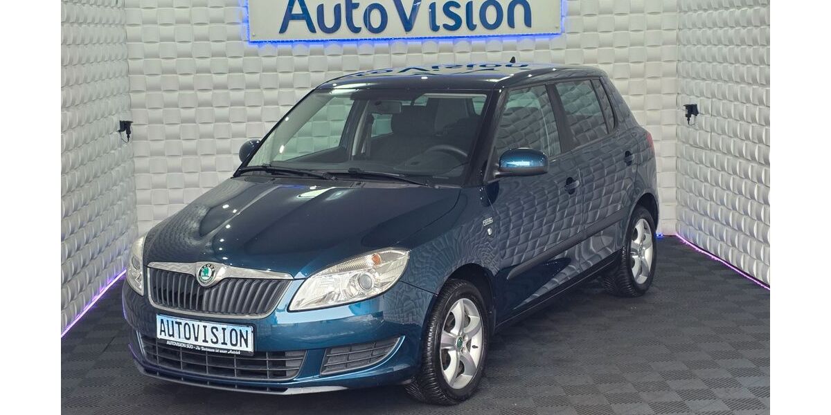 Skoda Fabia 177.000 km 4.950 &euro; Herzberg am Harz 37412