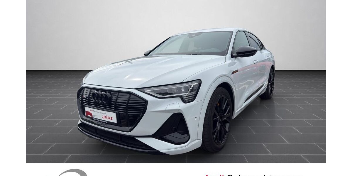 Audi e-tron 44.646 km 39.390 &euro; Ludwigshafen 67063
