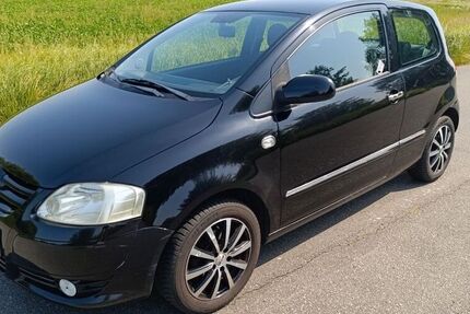 VW Fox