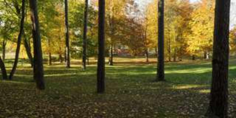 Erstbezug: 4-Zimmer-Wohnung in traumhafter Parkanlage 4 zimmer