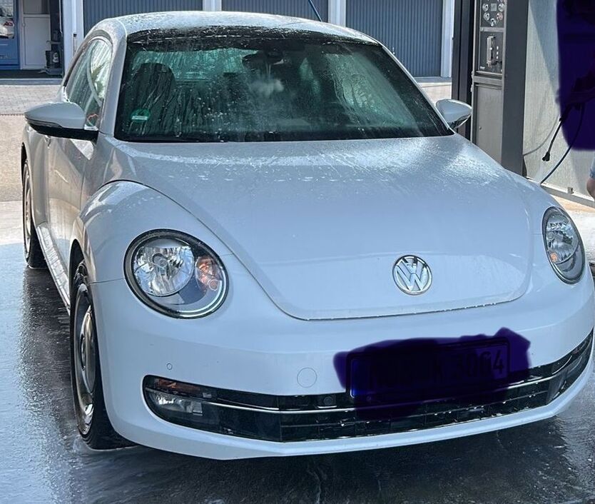 Beetle