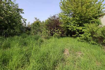 Grundstück zu verkaufen in Swisttal Odendorf 320.000 € 1361 m² zimmer