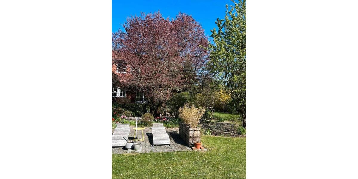 Einfamilienhaus Müncheberg - 6 Zimmer, 215 m&sup2;, 450.000&euro; | Angebot:26818482