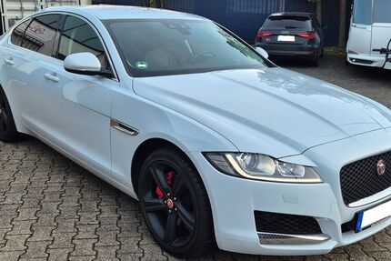 Jaguar XF 39.815 km 24.200 &euro; Köln 50769