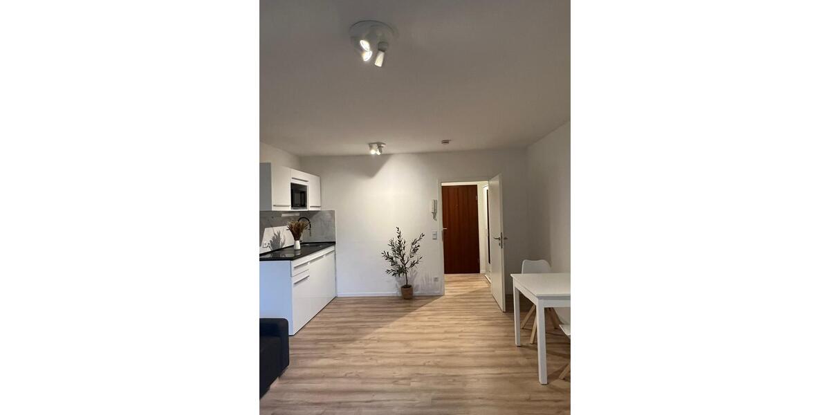 Apartment EBK Terrasse TG frisch renoviert & möbliert ab sofort 1 zimmer