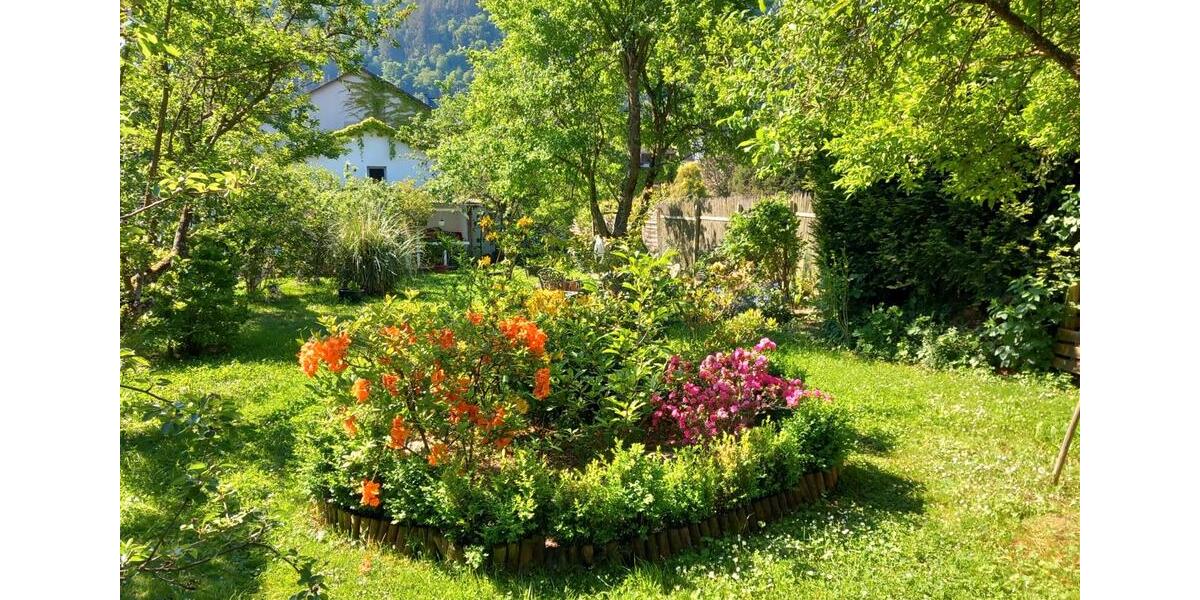 Einfamilienhaus Traben-Trarbach Trarbach - 349.000&euro; | Angebot:26763093