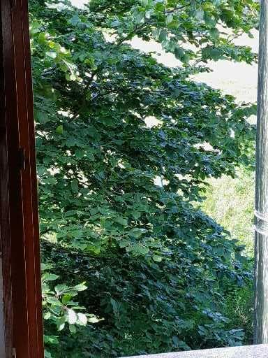 Einfamilienhaus Wiesenburg/Mark Mark - 3 Zimmer, 110 m&sup2;, 199.000&euro; | Angebot:26896550