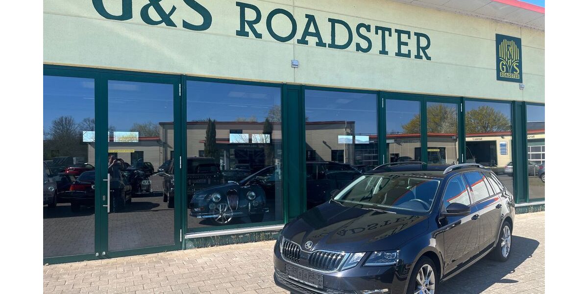 Skoda Octavia 118.650 km 14.499 &euro; Landau 76829