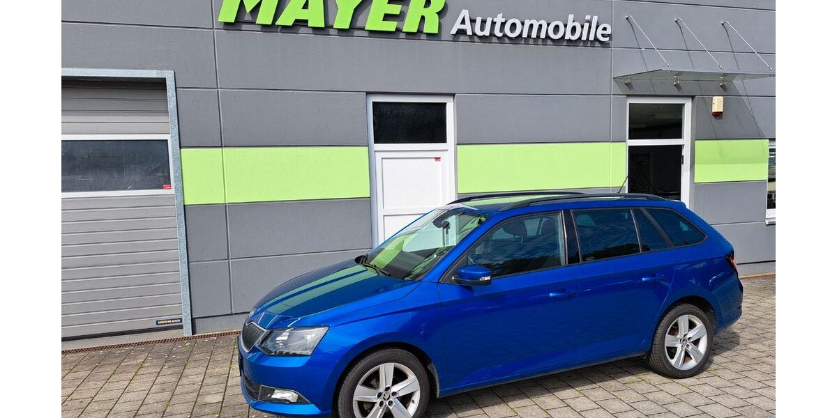Skoda Fabia 100.000 km 8.990 &euro; Kümmersbruck/Lengenfeld 92245
