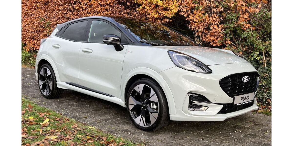 Ford Puma 11.400 km 29.750 &euro; Düdenbüttel 21709