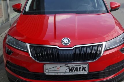 Skoda Karoq 130.179 km 19.980 &euro; Pfullendorf 88630