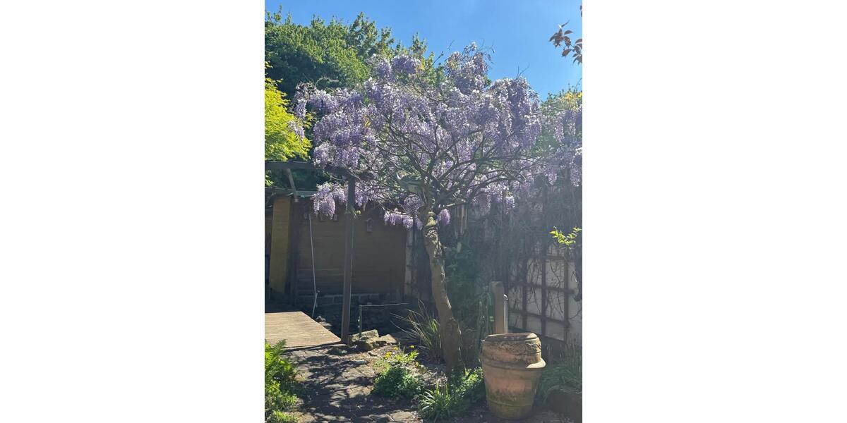 Doppelhaushälfte Duisburg Rheinhausen - 4 Zimmer, 100 m&sup2;, 335.000&euro; | Angebot:26321185