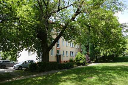 Wohnung zum Mieten in Groß Döbbern 377,60 € 59 m² 3 zimmer