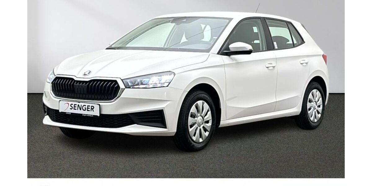 Skoda Fabia 26.680 km 18.880 &euro; Emsdetten 48282