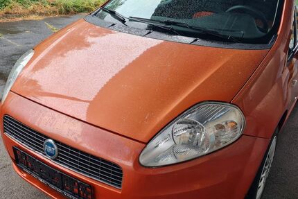 Fiat Punto 120.123 km 1.350 &euro; Seelow 15306