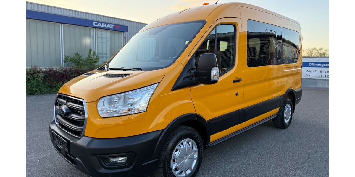 Ford Transit 228.446 km 17.243 &euro; Germersheim 76726