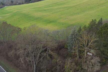 Freizeitgrundstück an der Eisenberger Straße sucht neuen Eigentümer zimmer
