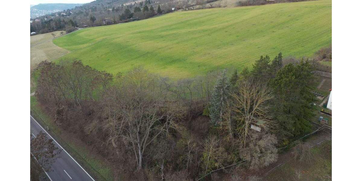 Freizeitgrundstück an der Eisenberger Straße sucht neuen Eigentümer zimmer