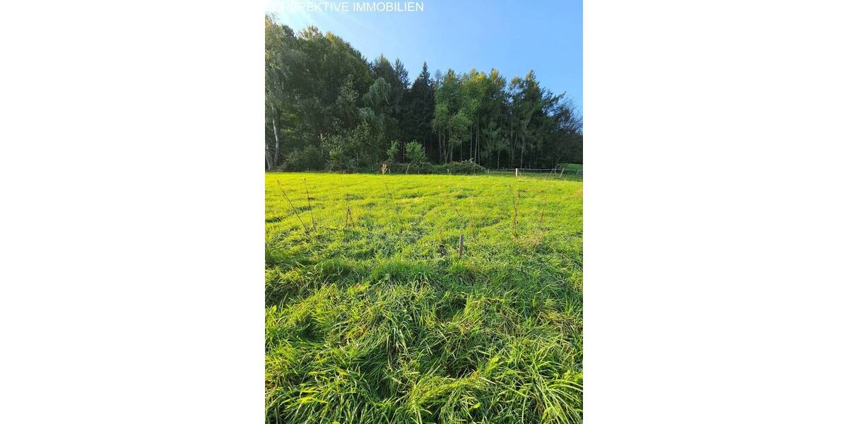 Grundstück Erbach Erbuch - 89.000&euro; | Angebot:23958016