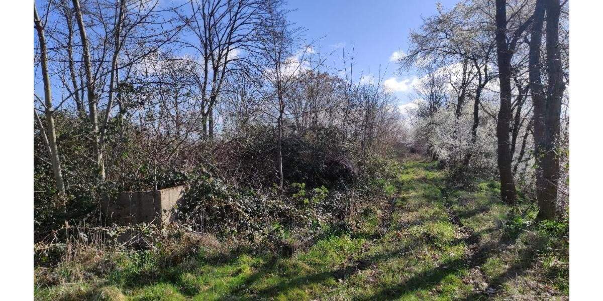 Grundstück Machern - 185.000&euro; | Angebot:24036204