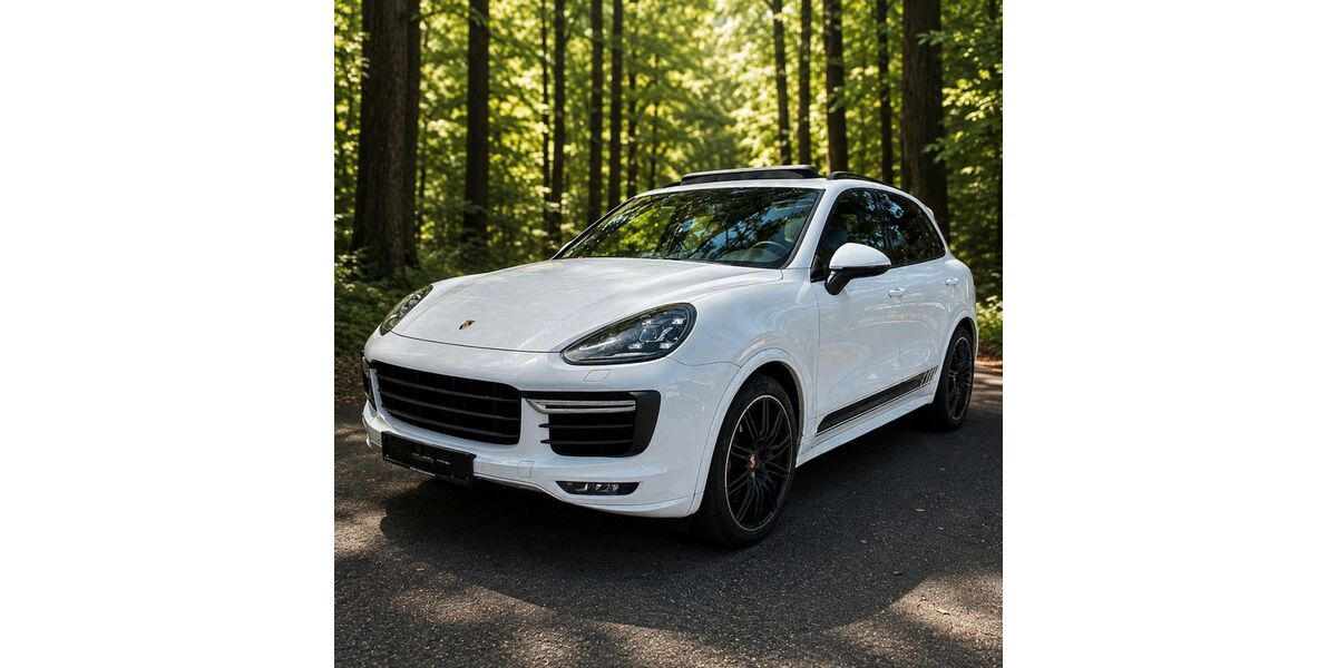 Porsche Cayenne 129.857 km 39.900 &euro; Bickenbach 64404