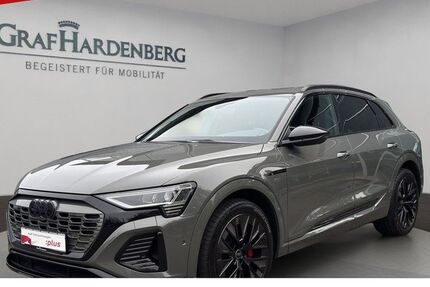 Audi Q8 e-tron 60.100 km 46.888 &euro; Lahr 77933