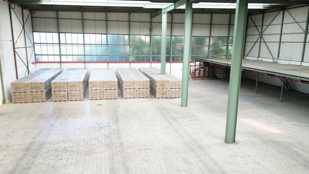 Hüntepark Hochhalle B Ost: ca. 2.124 m² 12,70 m UKB LagerIndustrieGewerbe - Gewerbeobjekt Papenburg Aschendorf, Stadt Papenburg | Angebot:24477910