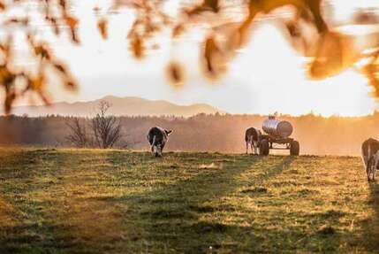 Grundstück zu verkaufen in Holzkirchen 690.000 € 605 m²