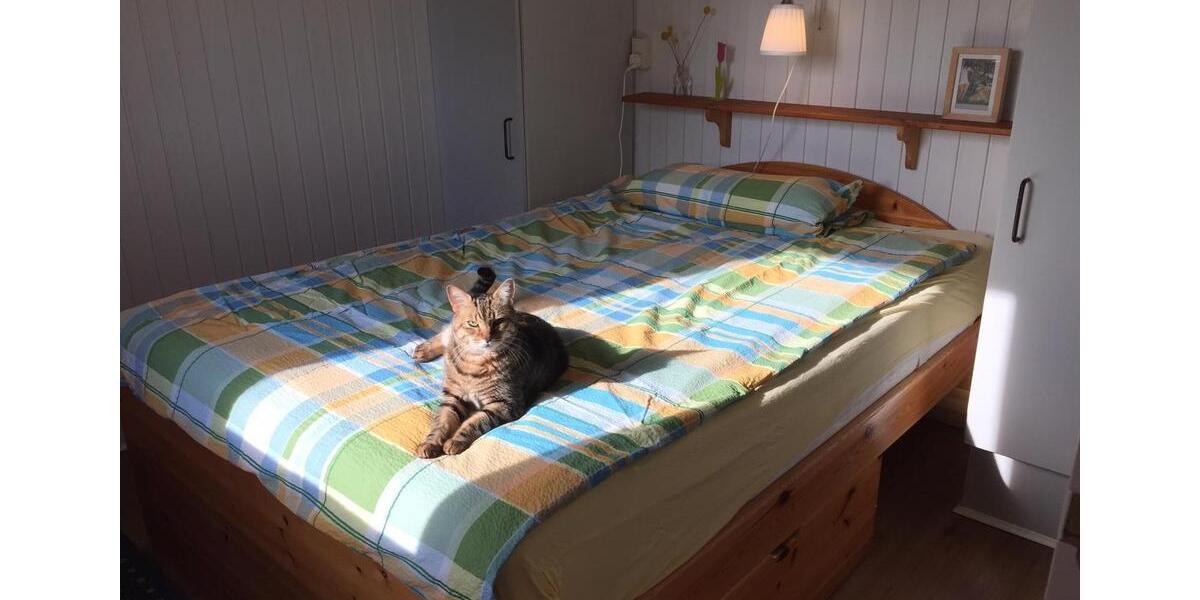 Einfamilienhaus Hohenfelde - 3 Zimmer, 50 m&sup2;, 900&euro; | Angebot:26305699