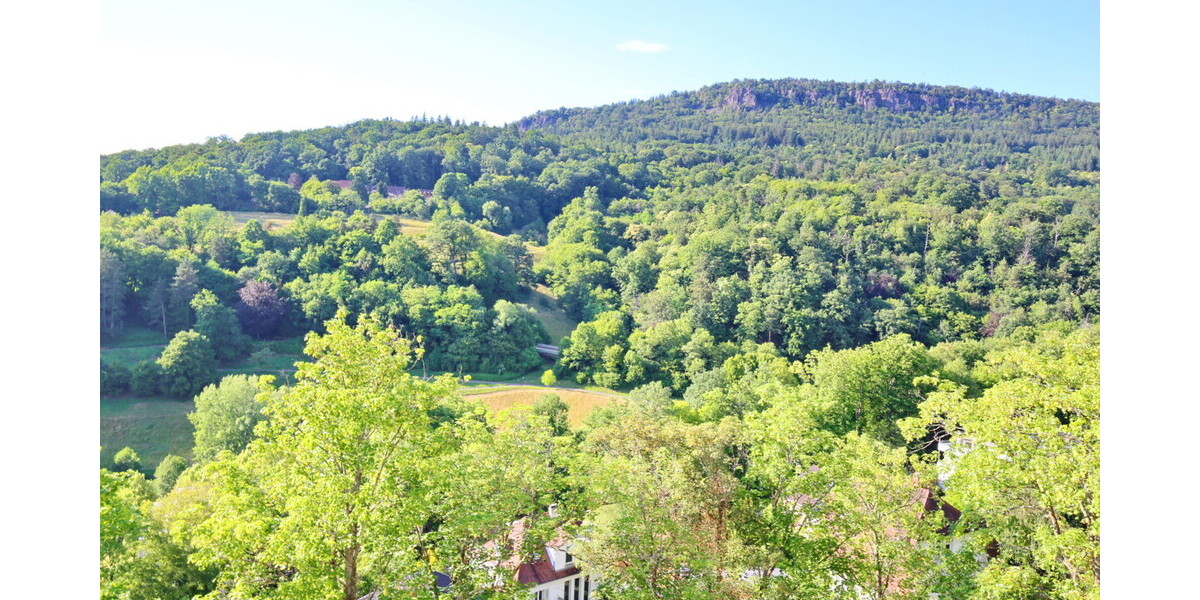 *Preissenkung* Wohnen in historischem Gebäude am Annaberg - 2- Baden-Baden Baden | Angebot:26967501