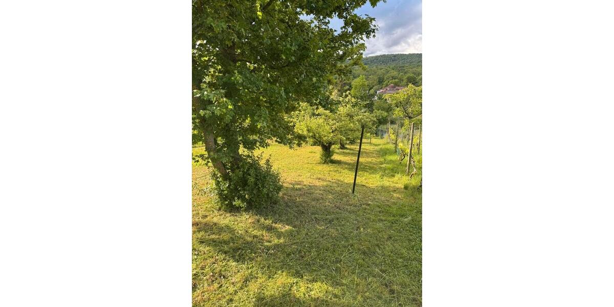 Grundstück Stuttgart Feuerbach - 50&euro; | Angebot:26693203