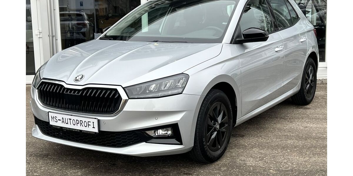 Skoda Fabia 29.581 km 17.390 &euro; Trossingen 78647