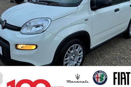 Fiat Panda 1.100 km 14.990 &euro; Ingolstadt 85053