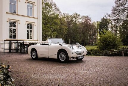 Austin Healey Andere