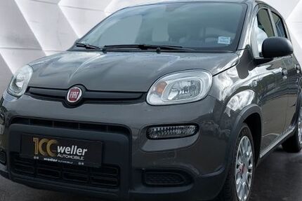 Fiat Panda 11.800 km 12.885 € Bietigheim-Bissingen 74321