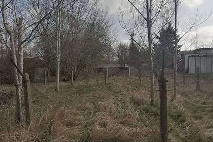 Grundstück Märkische Heide- Gross Leuthen Gross Leuthen - 300.000&euro; | Angebot:26804856