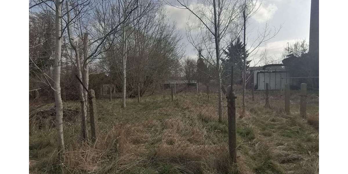 Grundstück Märkische Heide- Gross Leuthen Gross Leuthen - 300.000&euro; | Angebot:26804856