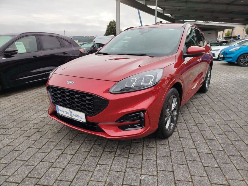 Kuga